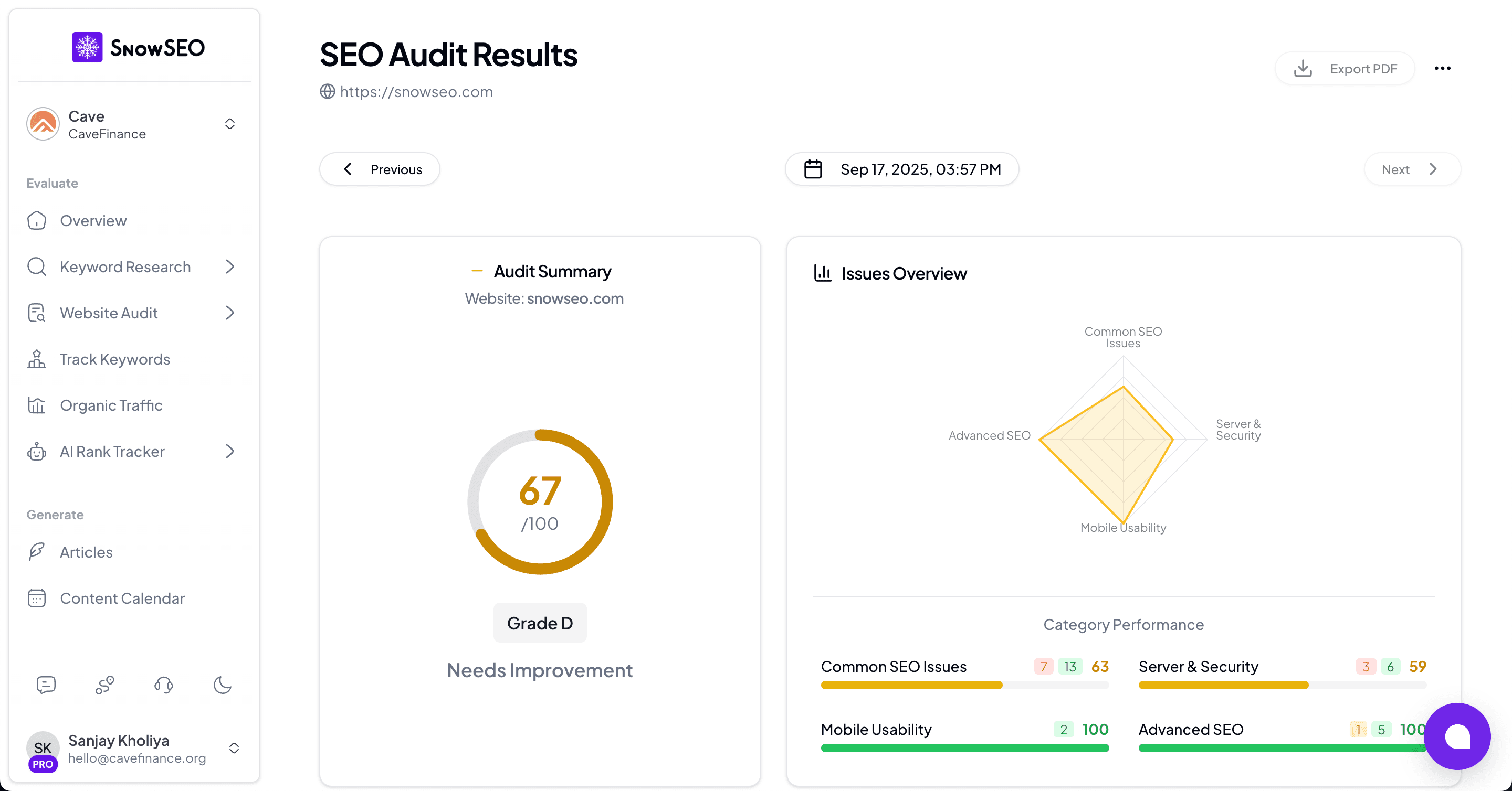SnowSEO Audit Dashboard - Comprehensive SEO audit results with score, issues overview, and category performance