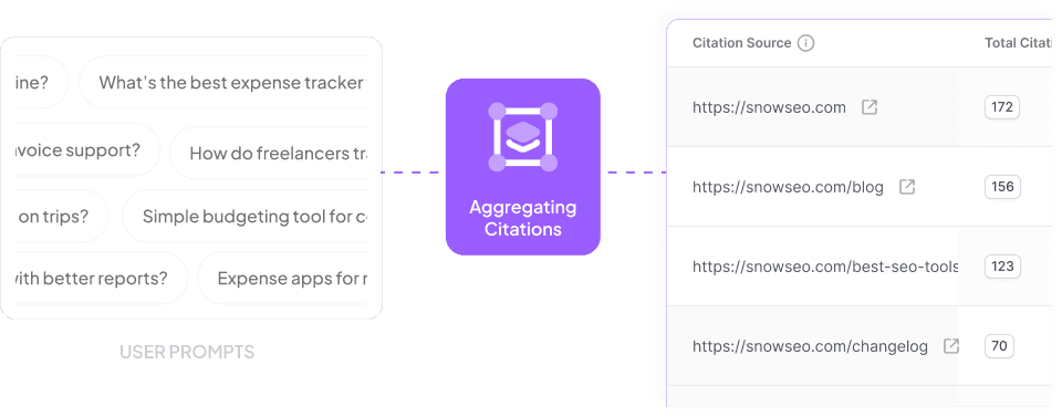 Citation aggregation showing user prompts and citation source table with total citations